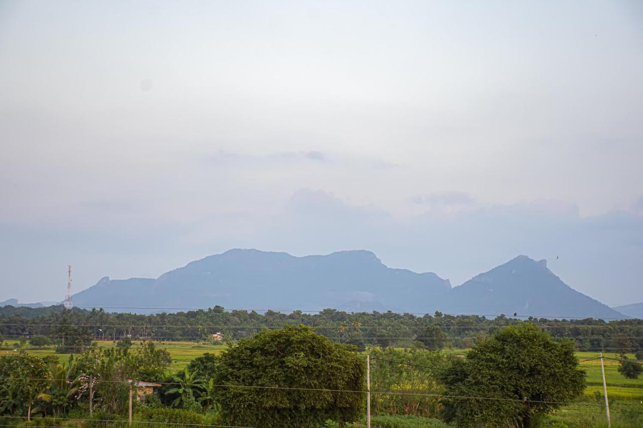 Gold Crown Residence Dambulla Exterior foto