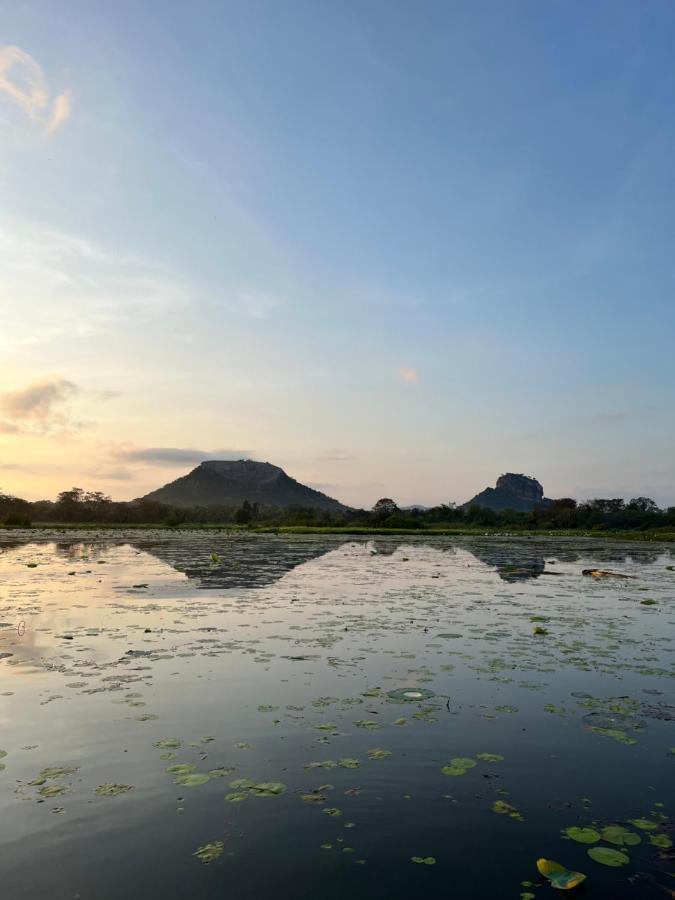 Gold Crown Residence Dambulla Exterior foto